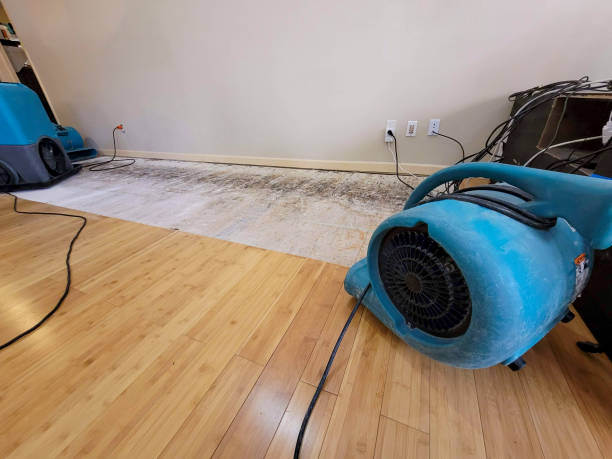 Reliable Storm Water Damage Restoration contractor in Kansas, OK by Hirex Water Damage